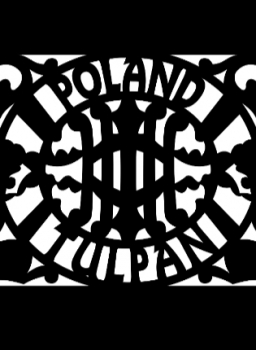 Tomek Tulpan