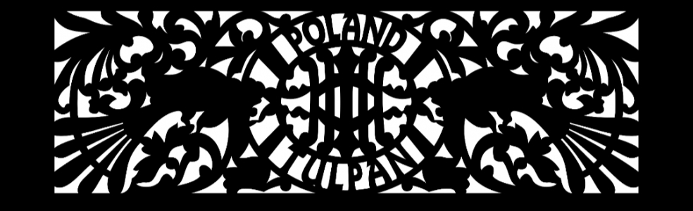 Tomek Tulpan Tomek Tulpan