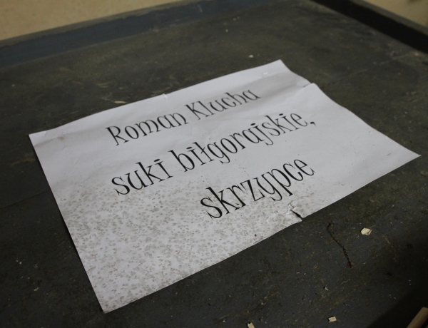 Roman Klucha