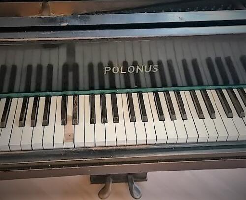 Fortepian POLONUS (3)